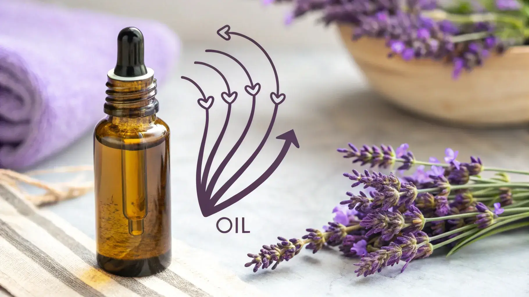 Lavender oil next to hair follicle graphic