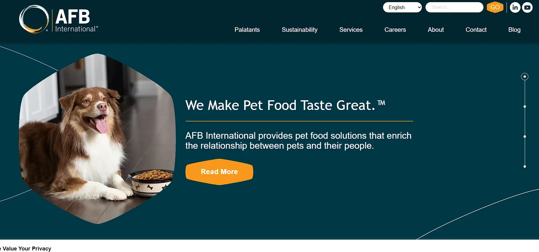 AFB International