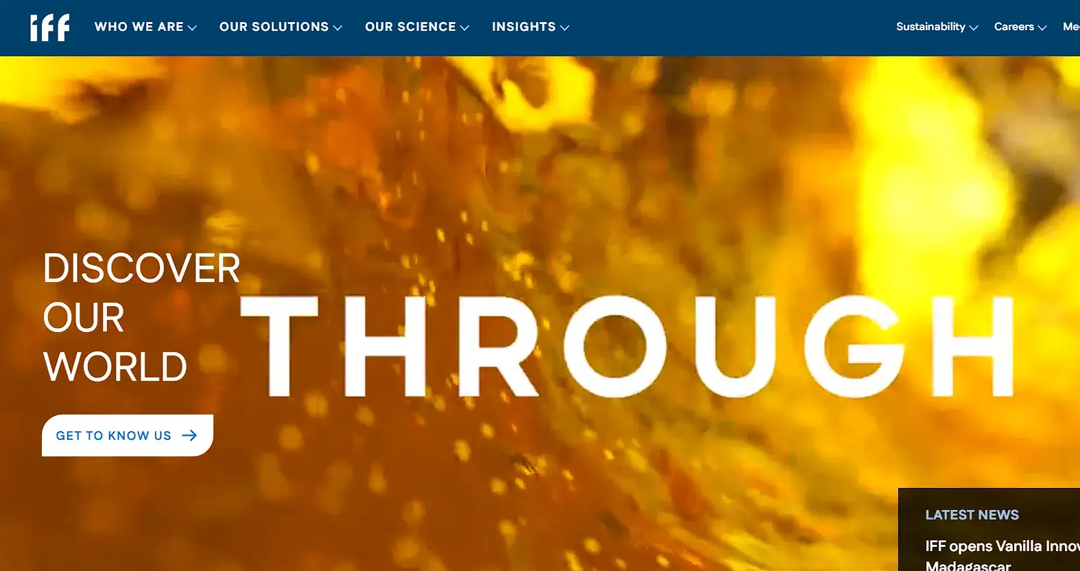 International Flavors & Fragrances International Flavors & Fragrances